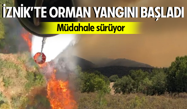 İznik'te orman yangını başladı, müdahale sürüyor!