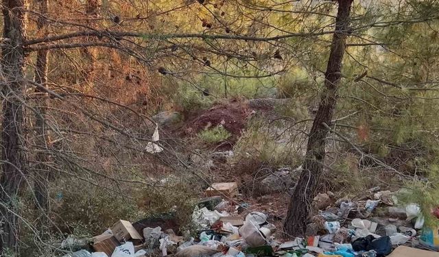 Çanakkale’de ormanlık alanlar çöpten geçilmiyor
