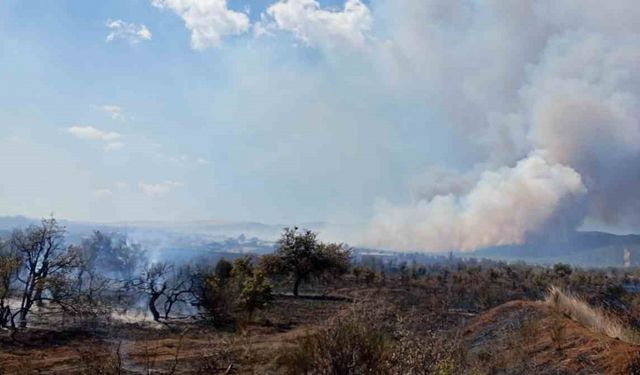 Çanakkale’de tarım arazisinde yangın