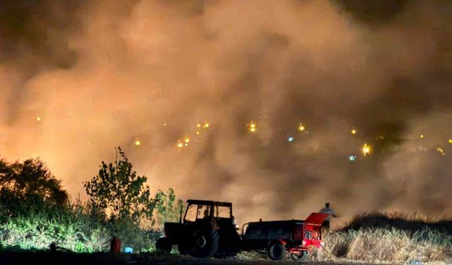 Keşan’da çıkan yangın ormanlık alana sıçramadan söndürüldü