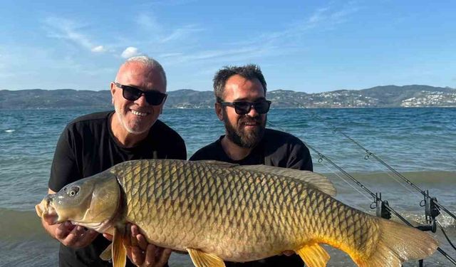 Sapanca Gölü’nde 18 kiloluk dev sazan: O anlar kamerada