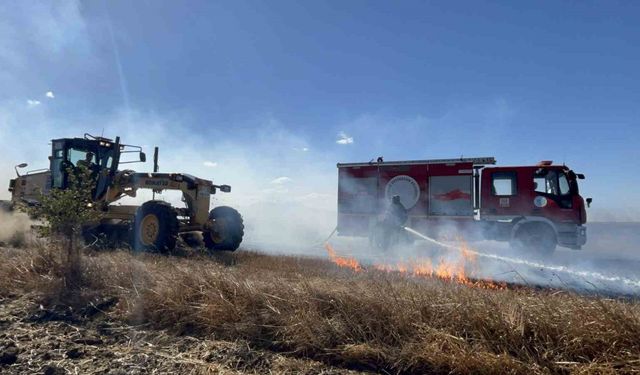 Tekirdağ’da 500 dönüm anız küle döndü