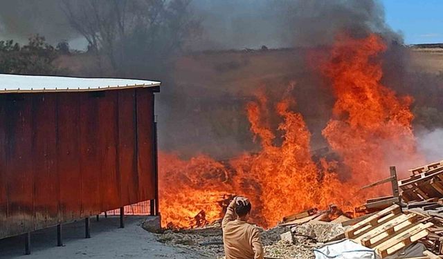 Tekirdağ’da palet fabrikasından alevler yükseldi: Yüzlerce palet alev alev yandı