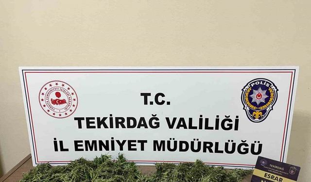 Tekirdağ’da uyuşturucu operasyonu: 2 kişi tutuklandı