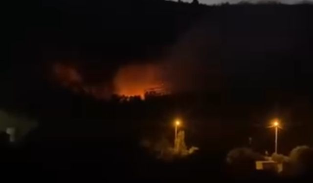 İnegöl’de orman yangını korkuttu