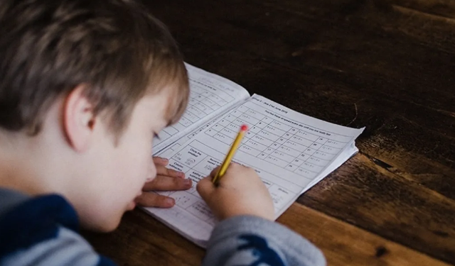 Yüzde 3,4 düşüş! Türkiye'de muhtemel eğitim süresi 17,2 yıl