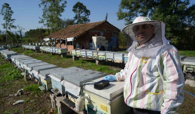 Komiser arıcıdan bal verimini artıran yerli cihaz