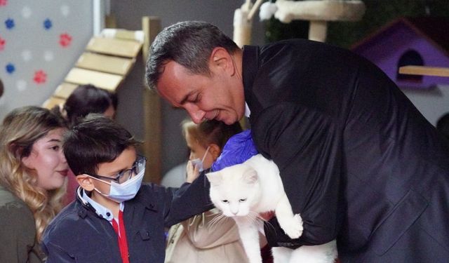 Beyoğlu’nda minikler barınaktaki hayvanlarla buluştu