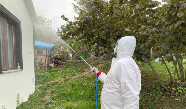 Erenler’de kokarcaya yönelik etkili mücadele sürüyor