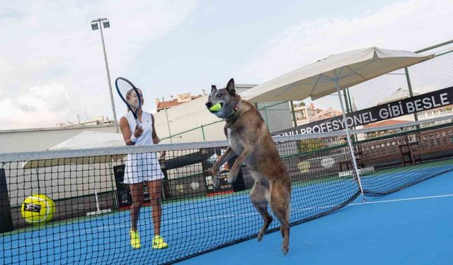 Milli Tenisçi Büyükakçay, patili dostu ile tenis oynadı