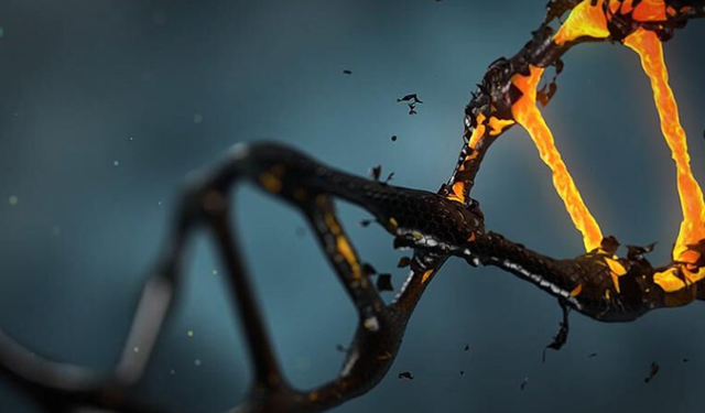 DNA’daki İzler Kanseri Önceden Haber Veriyor!