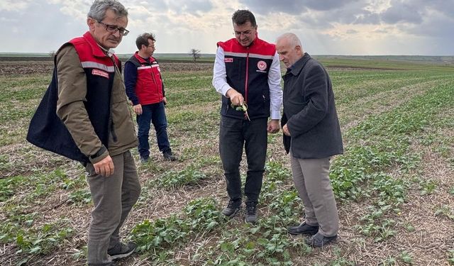 Aksoy: "Anıza ekim, yağmurun emilimini artırır ve buharlaşmayı azaltarak rutubeti toprakta tutar"