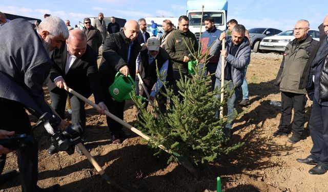 Arnavutköy’de Gazze için 10 bin fidan dikildi