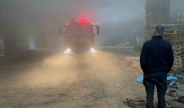 Edirne’de palet fabrikasında yangın