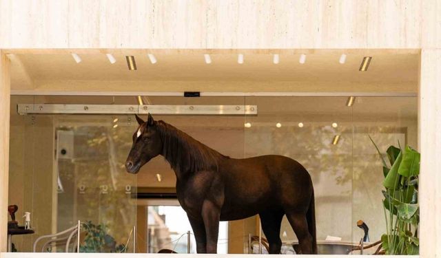 Espressolab, Jurassic Park teknolojisini şehirle buluşturdu