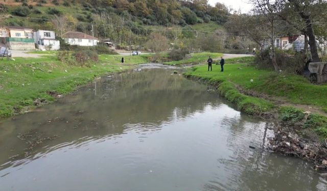 Eyüpsultan’daki gölde balık ölümleri yaşandı