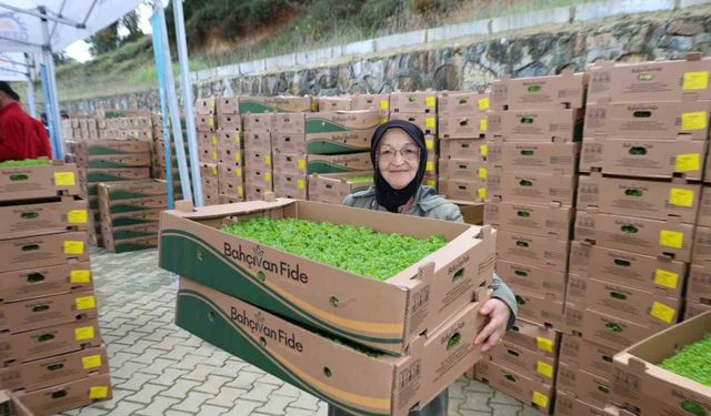 Gebzeli çiftçiye 500 bin sebze fidesi