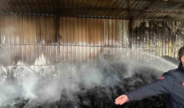 Keşan’da çıkan yangında bin saman balyası yandı