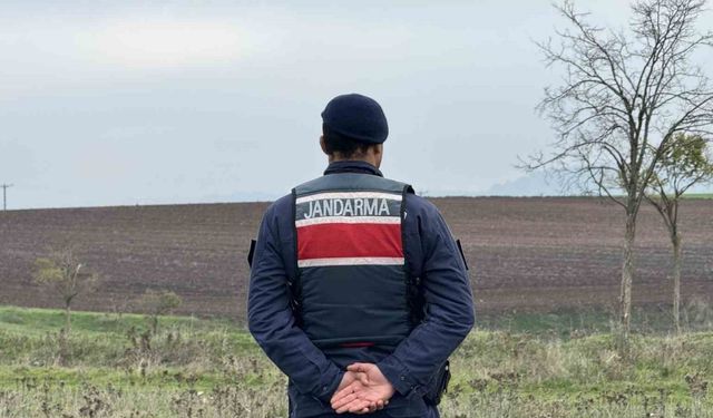 Mantar toplarken top mermisi buldular