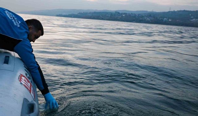 Sapanca Gölü’ndeki kabarcıkların sebebi belli oldu: Yeraltından doğal hava çıkışı
