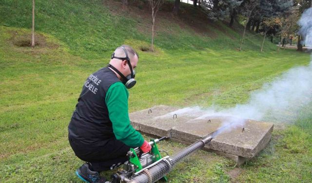 Sinekle mücadelede kışlık uygulama modeline geçildi