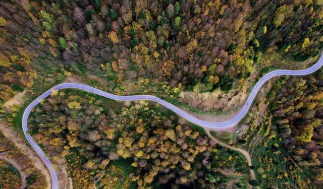Sonbaharın renkleri Çam Dağı’nı baştan sona sardı
