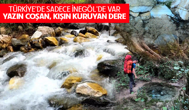 İNEGÖL'DE YAZIN COŞAN, KIŞIN KURUYAN PINAR: LEYLEK SUYU