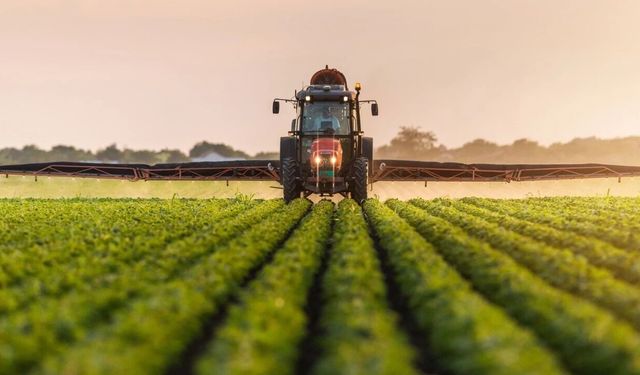 Türk gıda devi iflasın eşiğine geldi