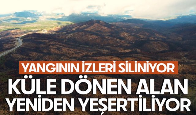 Bursa'yı yeniden yeşertecek 300 bin fidan için ilk adım atıldı