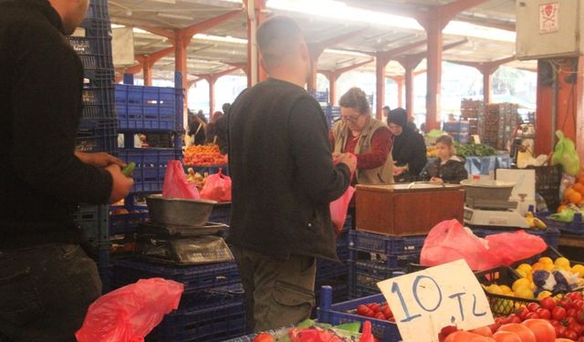 Çanakkale’nin meşhur domatesi tezgahlarda 40 liradan 10 liraya kadar düştü