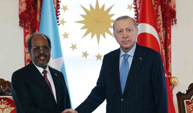 Cumhurbaşkanı Erdoğan, Somalili mevkidaşı Hasan Şeyh Mahmud'la bir araya geldi