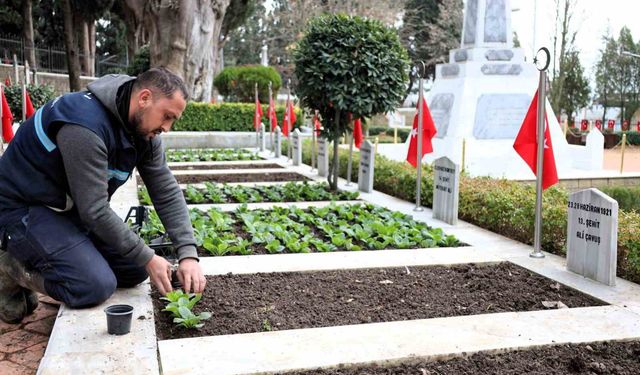 Kocaeli'de şehitliklerde bakım ve çiçeklendirme çalışması