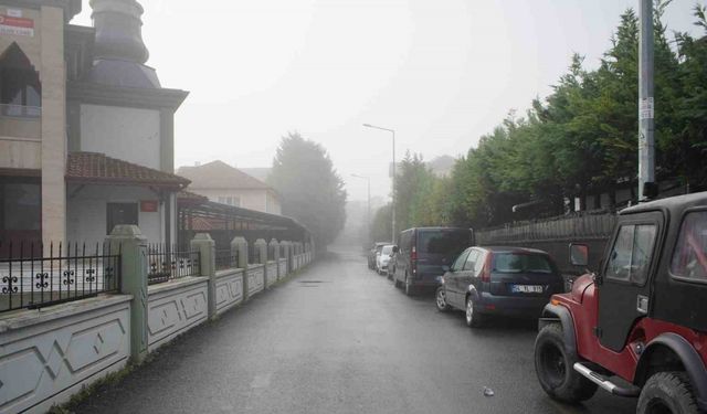 Sakarya’da sis görüş mesafesini 50 metreye düşürdü