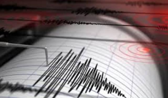 Muş Bulanık'ta deprem