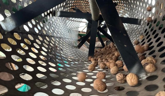 İnegöl'ün ceviz köyüne İstanbullular akın ediyor! Dönümü 500 bin liraya yok satıyorlar...