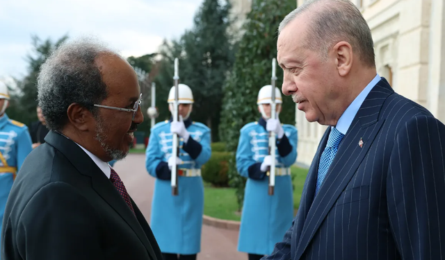 Cumhurbaşkanı Erdoğan: İsrail'in Somaliland adımı gayrimeşru