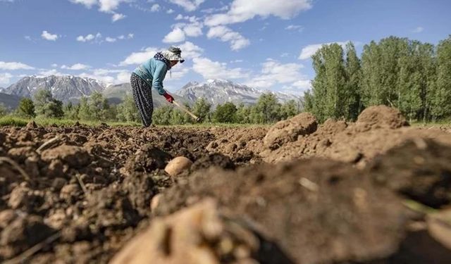 Bakan Yumaklı duyurdu: 2,2 milyar lira hibe desteği verilecek