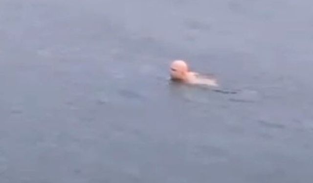 Bursa’da dondurucu soğukta deniz keyfi