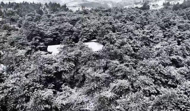 Başakşehir Şamlar Tabiat Parkı beyaza büründü