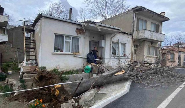 Çanakkale'de lodos fırtınasında devrilen ağaç evin çatısına zarar verdi