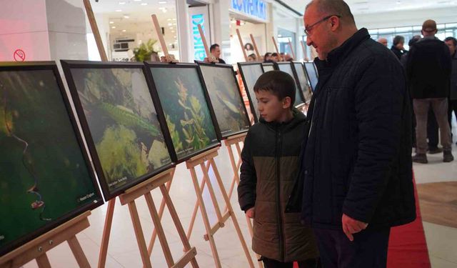 Sapanca Gölü fotoğrafları Gazze için umuda dönüştü: Geliri yetim ve öksüz çocuklara bağışlanacak
