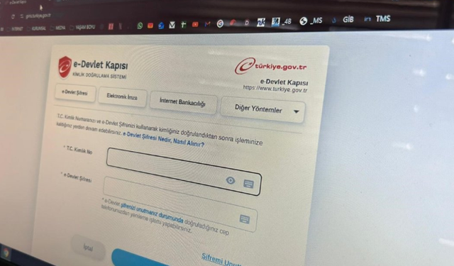Bilişim uzmanı uyardı: E-Devlet’in kopyalarıyla dolandırıcılığa dikkat