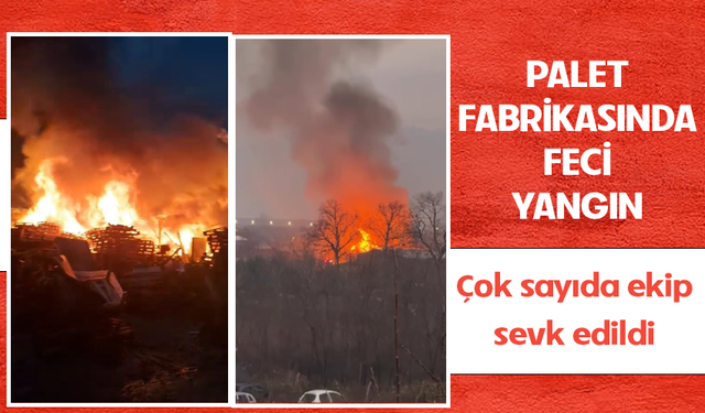 Bursa'da palet fabrikasında yangın! Çok sayıda ekip sevk edildi