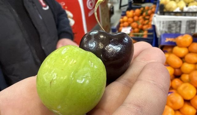 3 adet erik 750 TL, 5 adet kiraz bin TL