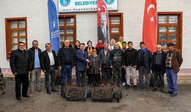 Bursa Büyükşehir'de üreticiye fidan ve tohum desteği