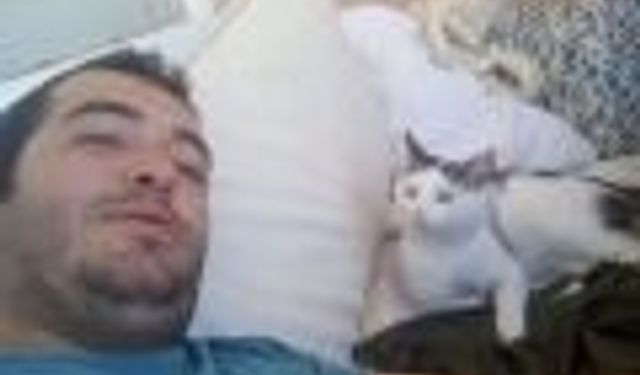 Kaybolan kedisi için binlerce kilometre yol yaptı!