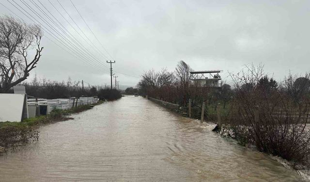Ayvacık'ta sağanak yağış etkili oldu