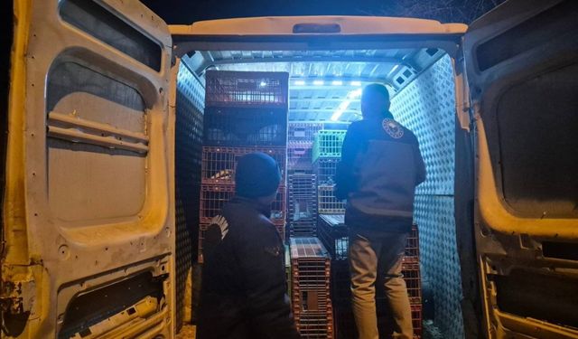 Bilecik'te belgesiz hayvan sevkine 52 bin 720 TL ceza