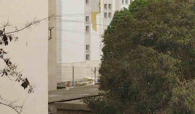 Çanakkale'de fırtına ağaçları devirdi