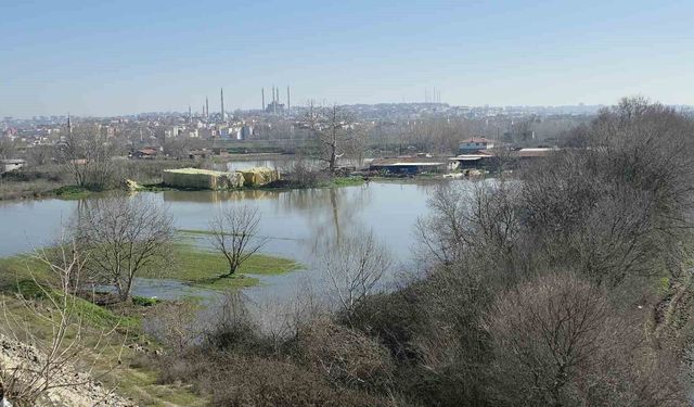 Edirne Yıldırım Mahallesi'nde hayvan çiftlikleri su altında